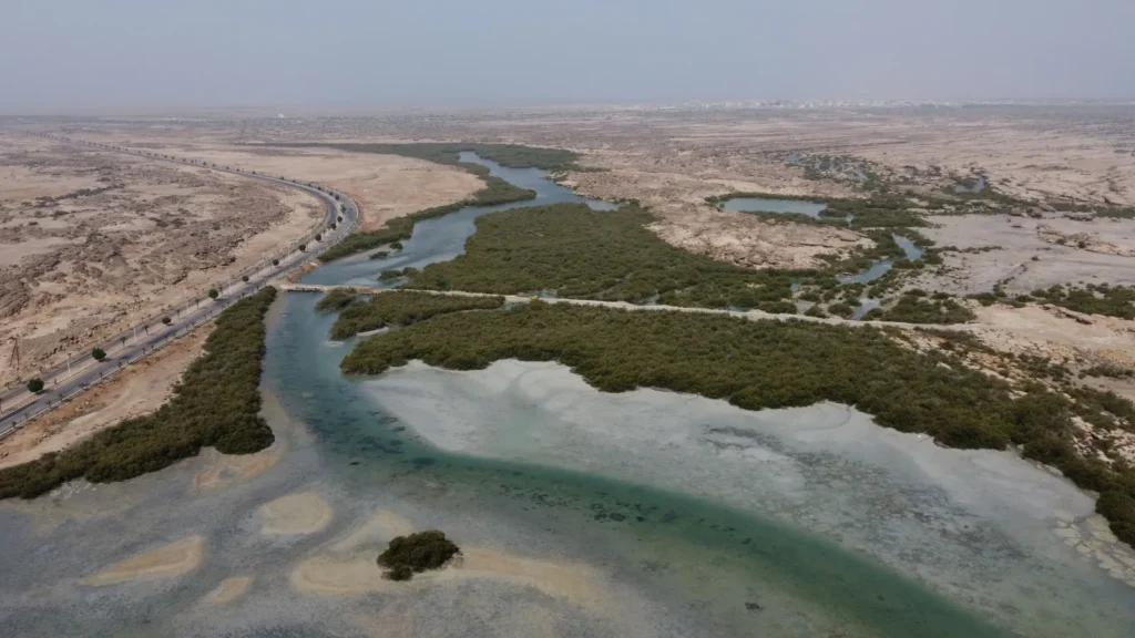 Vista aérea de una carretera que bordea manglares verdes y aguas poco profundas, en la costa del traslado de Yeda a Rabigh