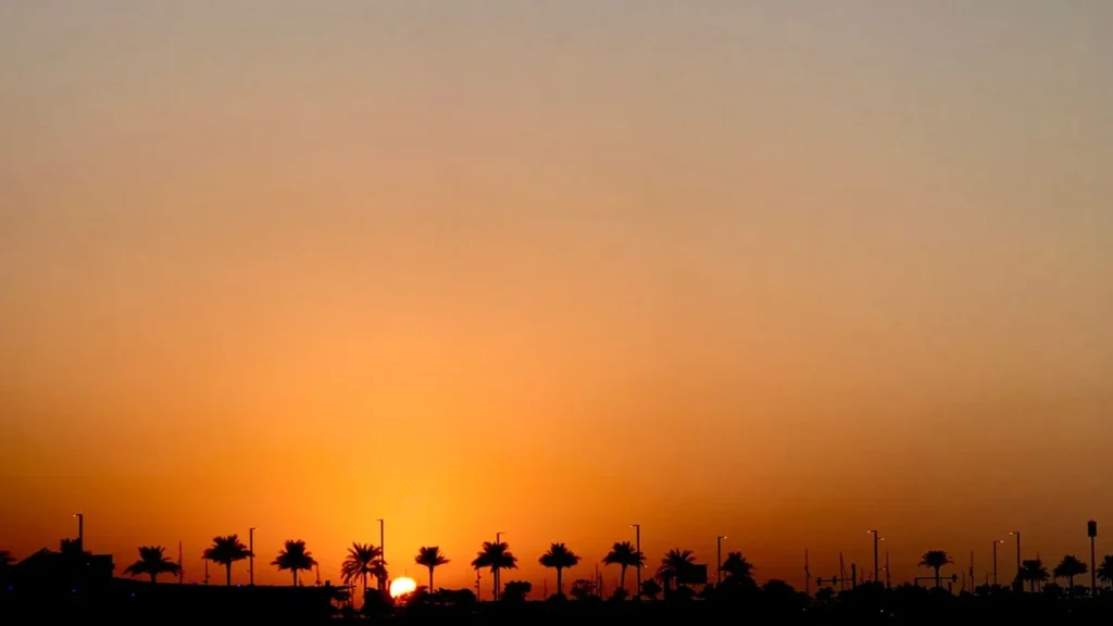Palmeras recortadas contra un atardecer anaranjado sobre el mar, uno de los lugares para hacer fotos en Yeda