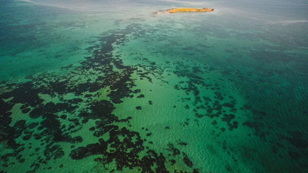 Luftaufnahme von türkisfarbenem Wasser über einem Korallenriff mit kleiner Sandinsel im Hintergrund – Ziel eines Umluj-Ausflugs ab Yanbu