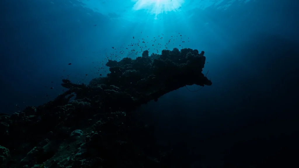 Arrecife de coral submarino en Yanbu con la luz del sol filtrándose en el agua, destino de un traslado para bucear en Yanbu